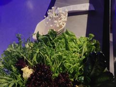 -额尔敦传统涮(公园西路店)