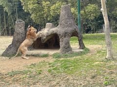 -杭州野生动物世界