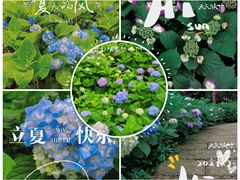 -临平公园(临平街道)