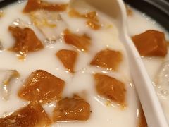 -金龙寨(龙城路店)