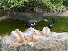 -昆明动物园