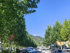 -栾川竹海野生动物园