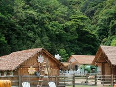 -龙岩森林水乡景区