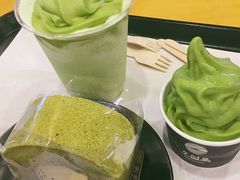 -雪绿茶博物馆