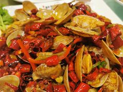 -福苗小骆驼烧烤(莲湖路店)