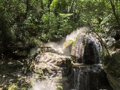 -牛背梁国家森林公园