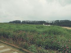 -光明小镇欢乐田园