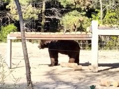 -沈阳森林动物园