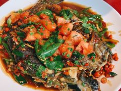 -生态苑农庄(十里画廊遇龙河店)