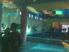 景点-北戴河圣蓝海洋公园