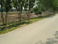 -永定河休闲森林公园