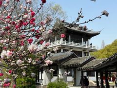-无锡蠡湖国家湿地公园-蠡园
