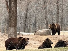 -北京野生动物园