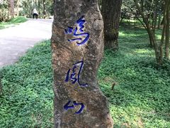 -昆明市金殿名胜区