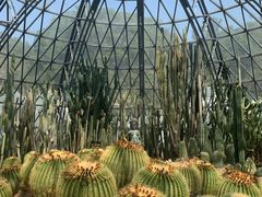 -深圳仙湖植物园