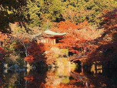 -醍醐寺