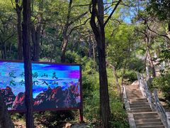 -崂山仰口游览区