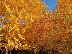 -长辛店二七公园