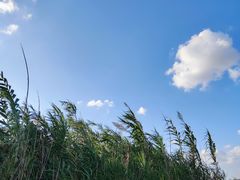 -宁波杭州湾国家湿地公园