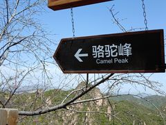 -大岭沟猕猴桃谷风景区