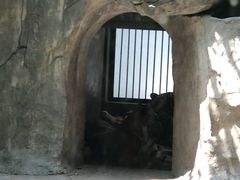 -南昌动物园
