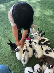 -萌宠亲子动物乐园(槐房万达店)