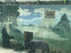 -成都动物园