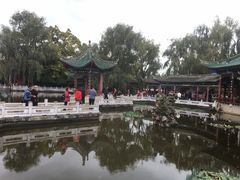 -MAP CHA普洱茶馆(翠湖店)