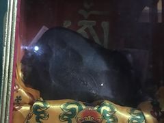 -札达土林-托林寺