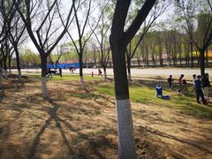 -永定河休闲森林公园