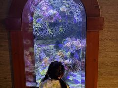 -太平洋海底世界