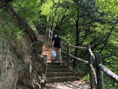 -少华山国家森林公园