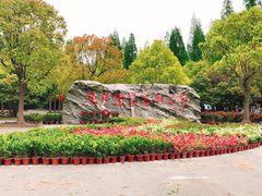 -东平国家森林公园