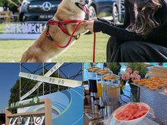 -泰州之星奔驰4S店(海陵店)