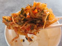 -半月镰胡姐脆皮萝卜饺子