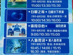 -秦皇岛乐岛海洋王国