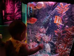 -沈阳海洋探索中心