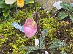 -国家植物园南园