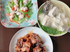 -田螺阿姨自营月嫂·育儿嫂(高新店)
