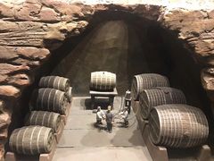 -龙谕酒庄
