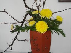 -蜀张一派斑鱼大虾(宁河旗舰店)