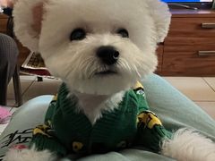 -FAELING PETS美天灵宠物(富力广场店)