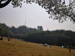 -广州雕塑公园