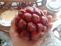 -沐毫傣泐云南菜孔雀宴•手抓饭傣味烧烤(曼听公园店)