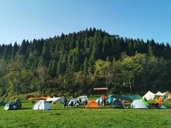 -武陵山森林公园