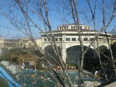 -仁爱团泊湖温泉中心