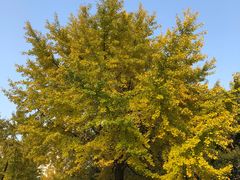 -苏州河梦清园环保主题公园