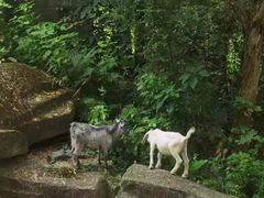 -福建鲤鱼洲酒店