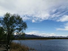 -野鸭湖国家湿地公园