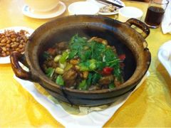 鸡煲-粤秀小厨·广式早茶(辽宁路店)